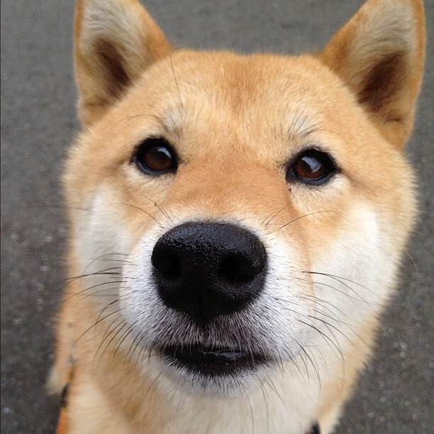 世界杯预选赛中国青年队逆袭 球员表现突出,世界杯预选赛中国青年队逆袭 球员表现突出