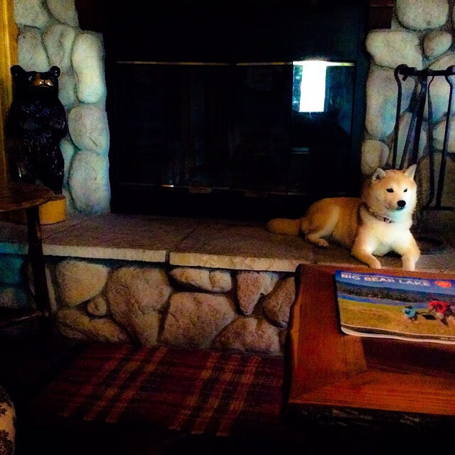 爱游戏平台-五大联赛是否出现更多由门将发起的直接进攻组织，五大联赛会变化吗