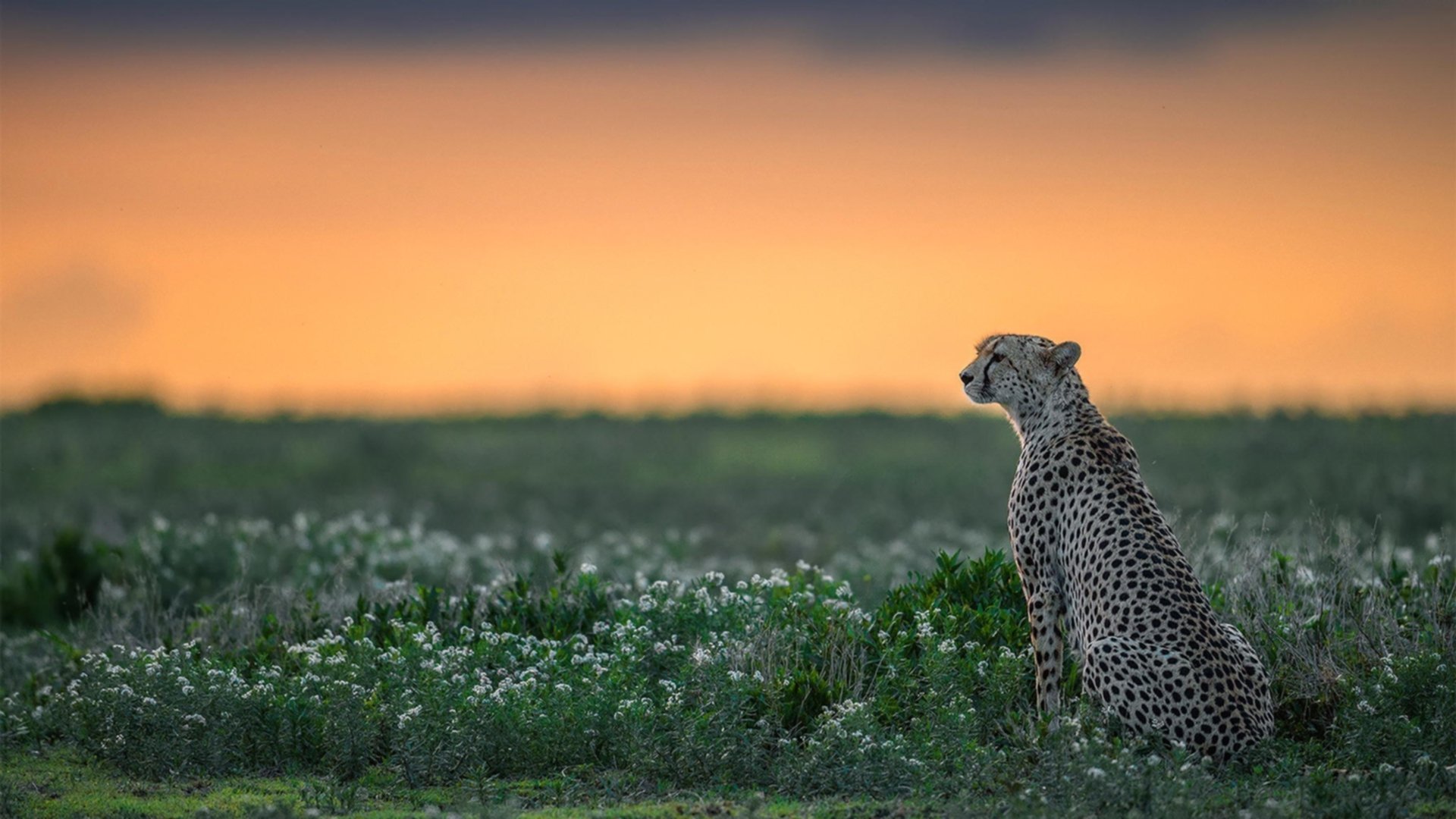 爱游戏app下载-城市马拉松环保理念成核心宣传亮点，马拉松环保活动主题