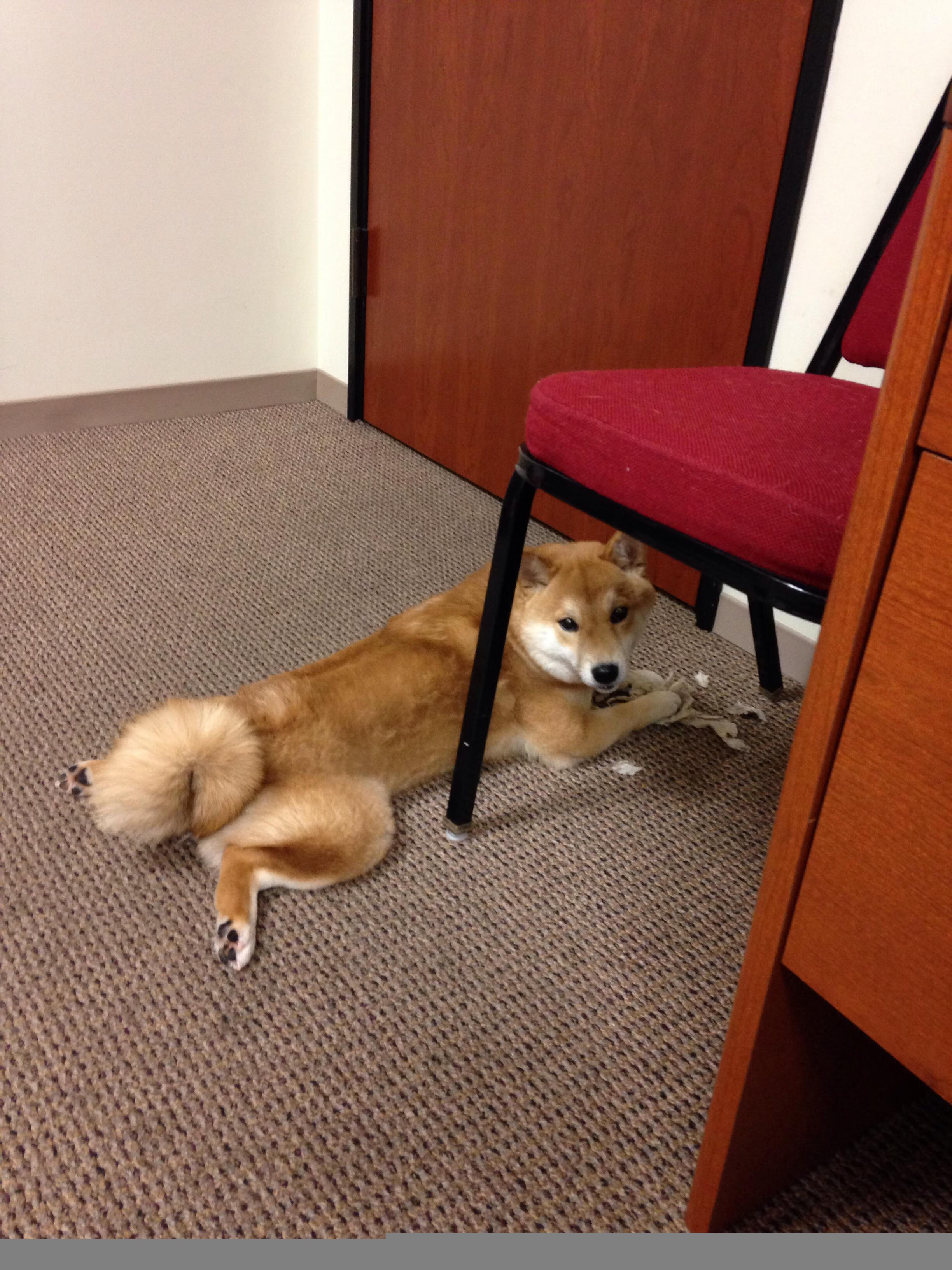 奥运备战关注青年选手心理承受能力,运动员心理承受能力