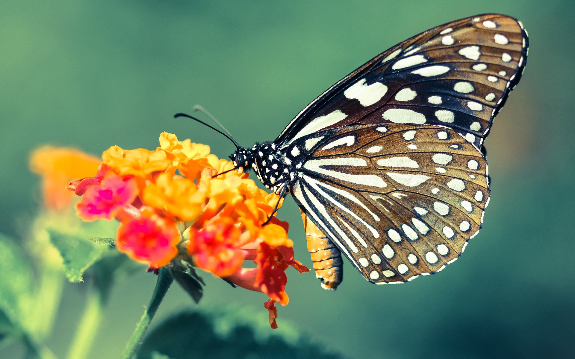奥运备战关注青年选手心理承受能力,运动员心理承受能力