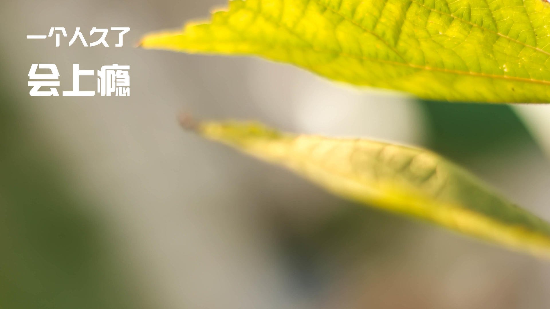 美国队未来发展:通过全方位训练提高球员身体素质与技术水平,美国队怎么样