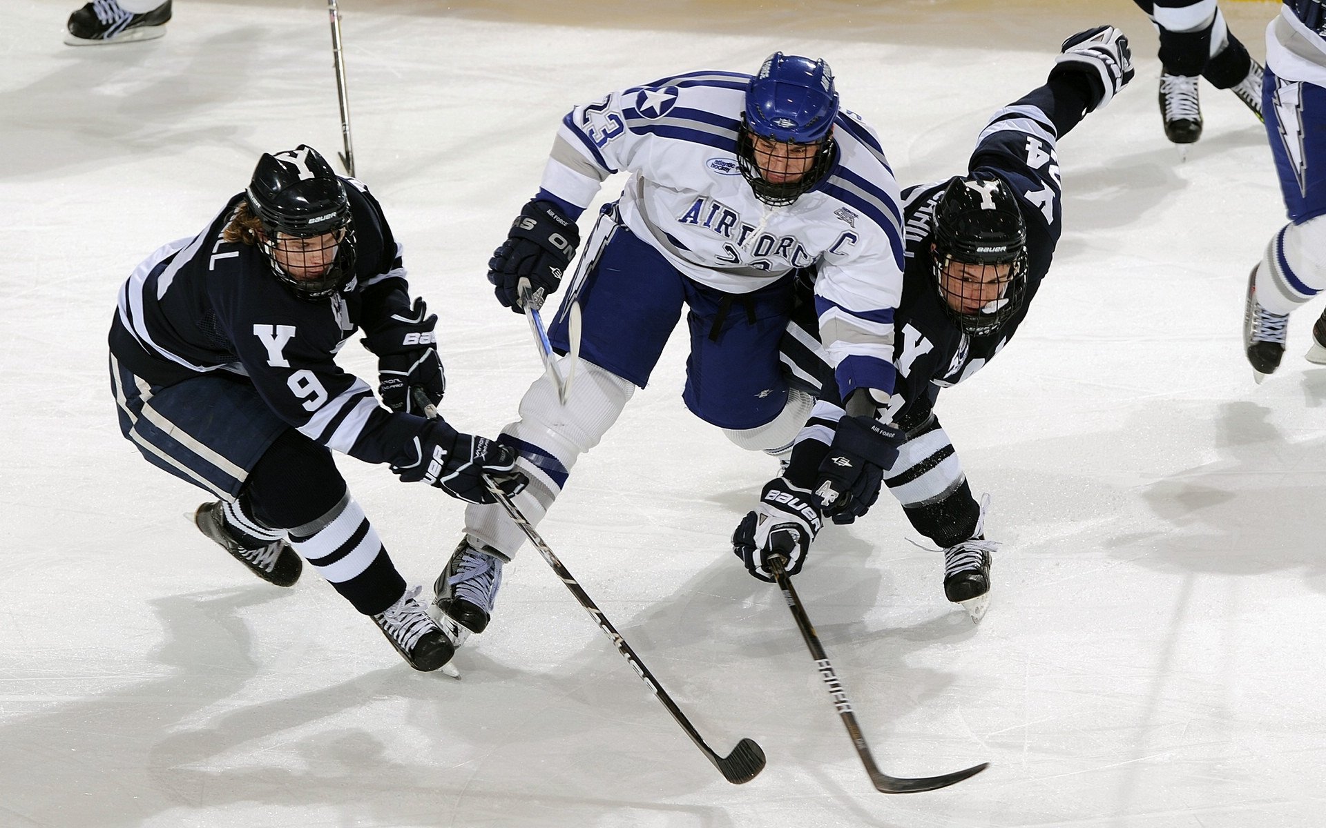 爱游戏-凯恩·瑞安：凭借高效的防守，助力全黑队建立稳固防线，rk凯恩