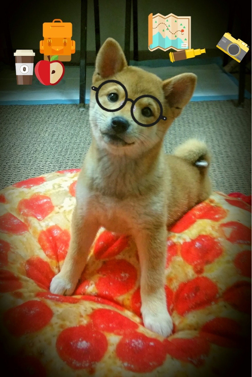 -国家队加强体能训练提升运动员抗疲劳能力和竞技状态，国家体育队训练