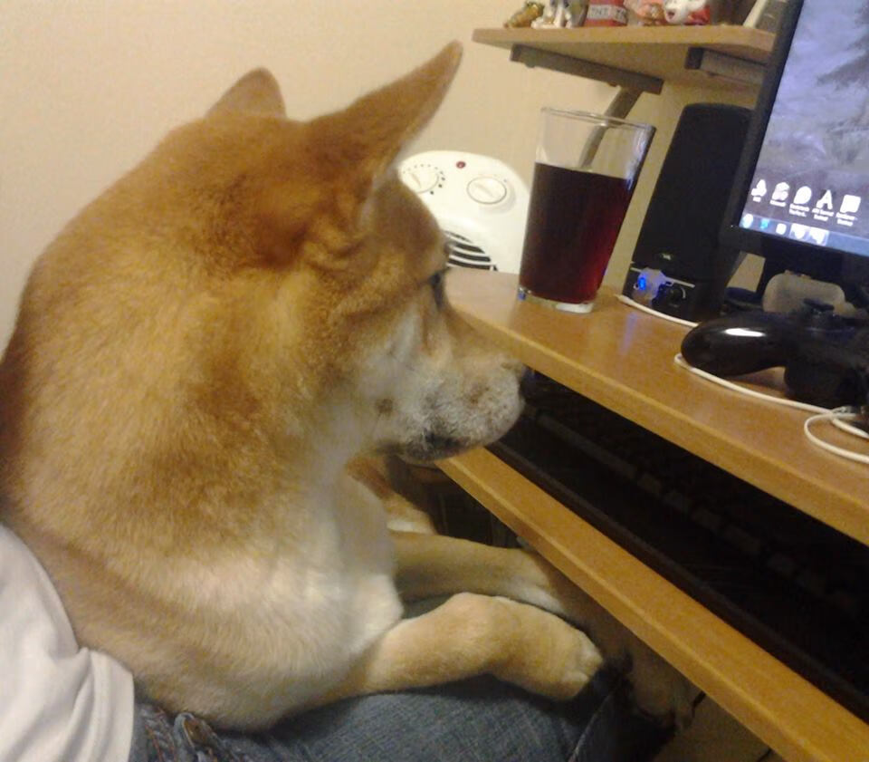 塞内加尔男篮在非洲锦标赛中奋勇争冠,创造非洲新纪录,非洲杯塞内加尔阵容