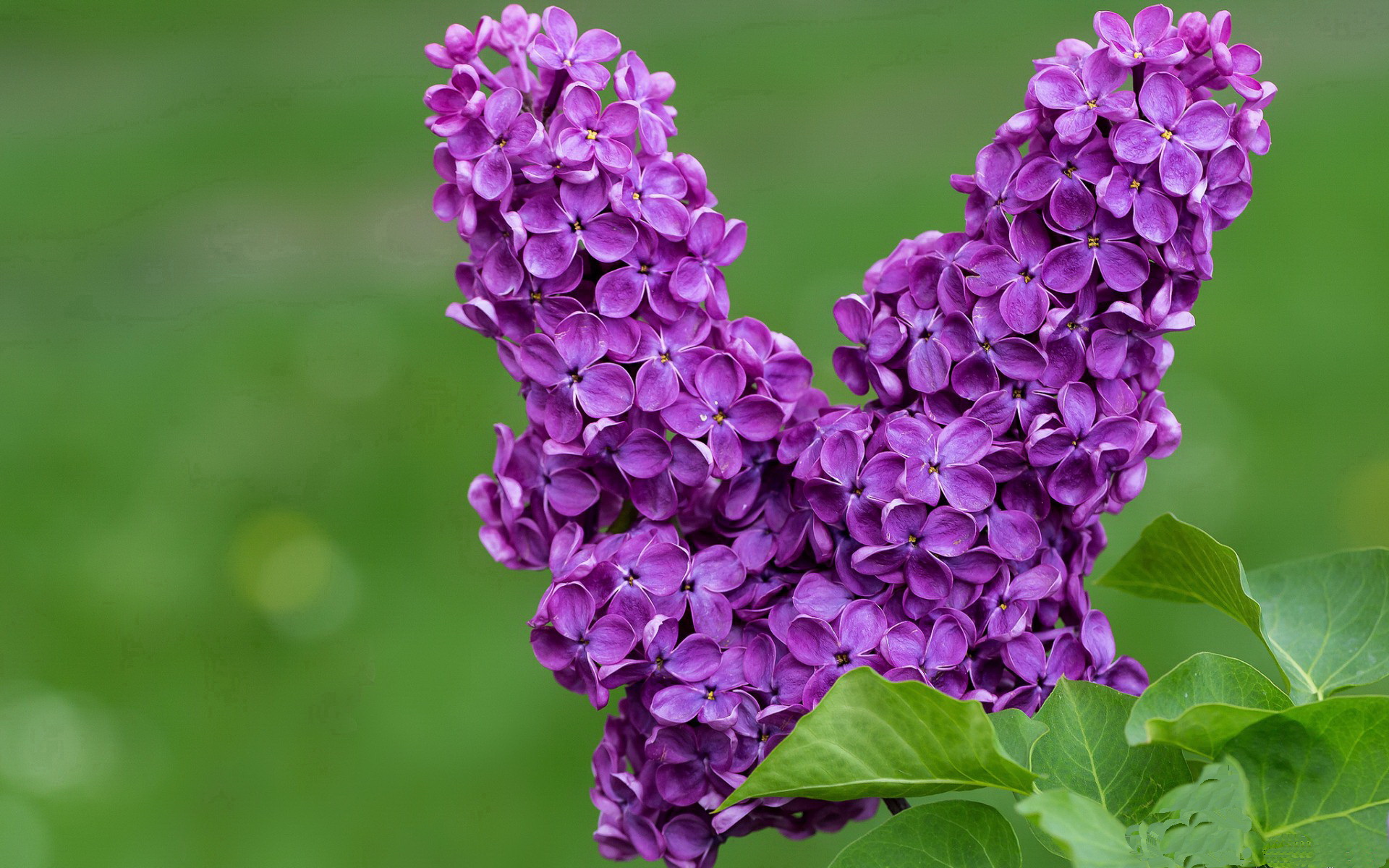 爱游戏app下载-斯洛伐克男篮在欧洲大赛中奋勇前行，迈向全球舞台，斯洛伐克进欧洲杯了吗