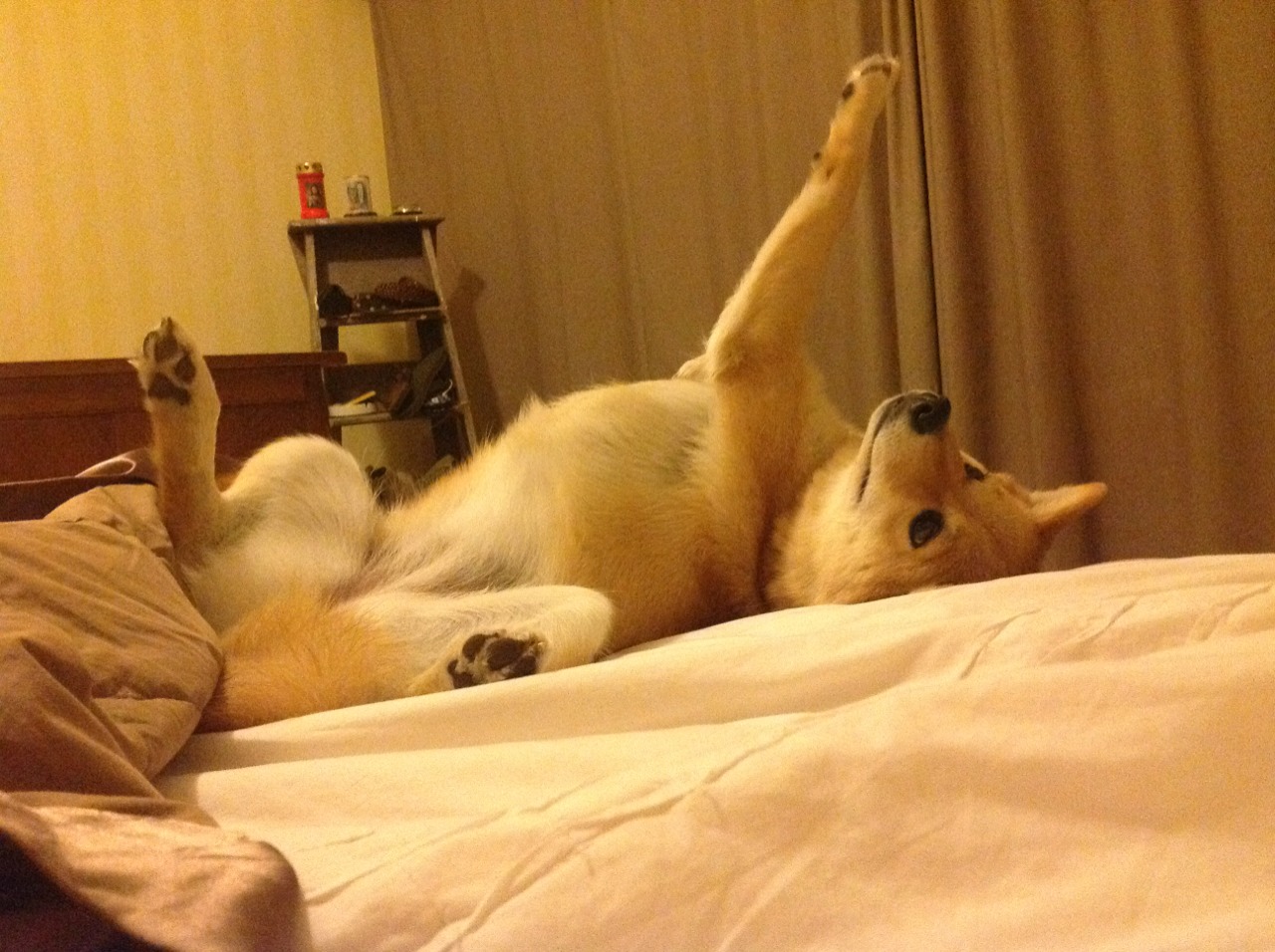 爱游戏体育（AYX）官方APP下载-朱婷谈复出感谢球队医护支持，朱婷专访