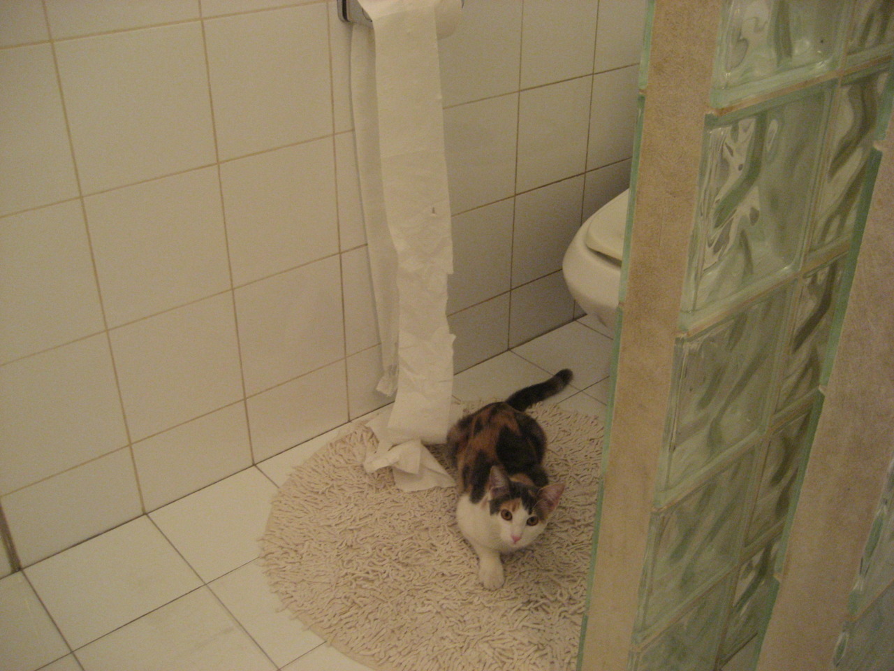 极限滑板运动员训练方法多样化发展,极限运动 滑板