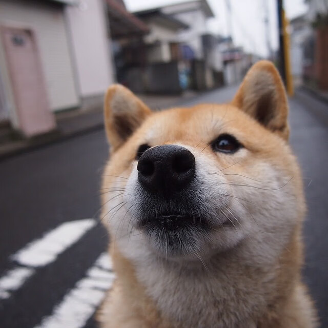 独行侠鼓励球员参与当地慈善跑步活动,独行侠队球员名单及年薪
