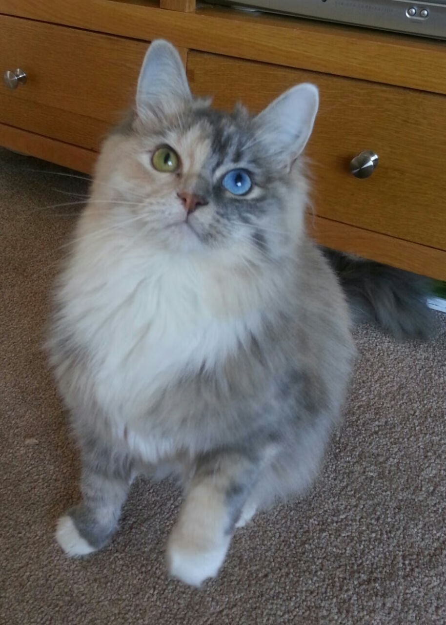 爱游戏平台-篮网替补控卫赛后接受长时间拉伸调整，篮网替补阵容