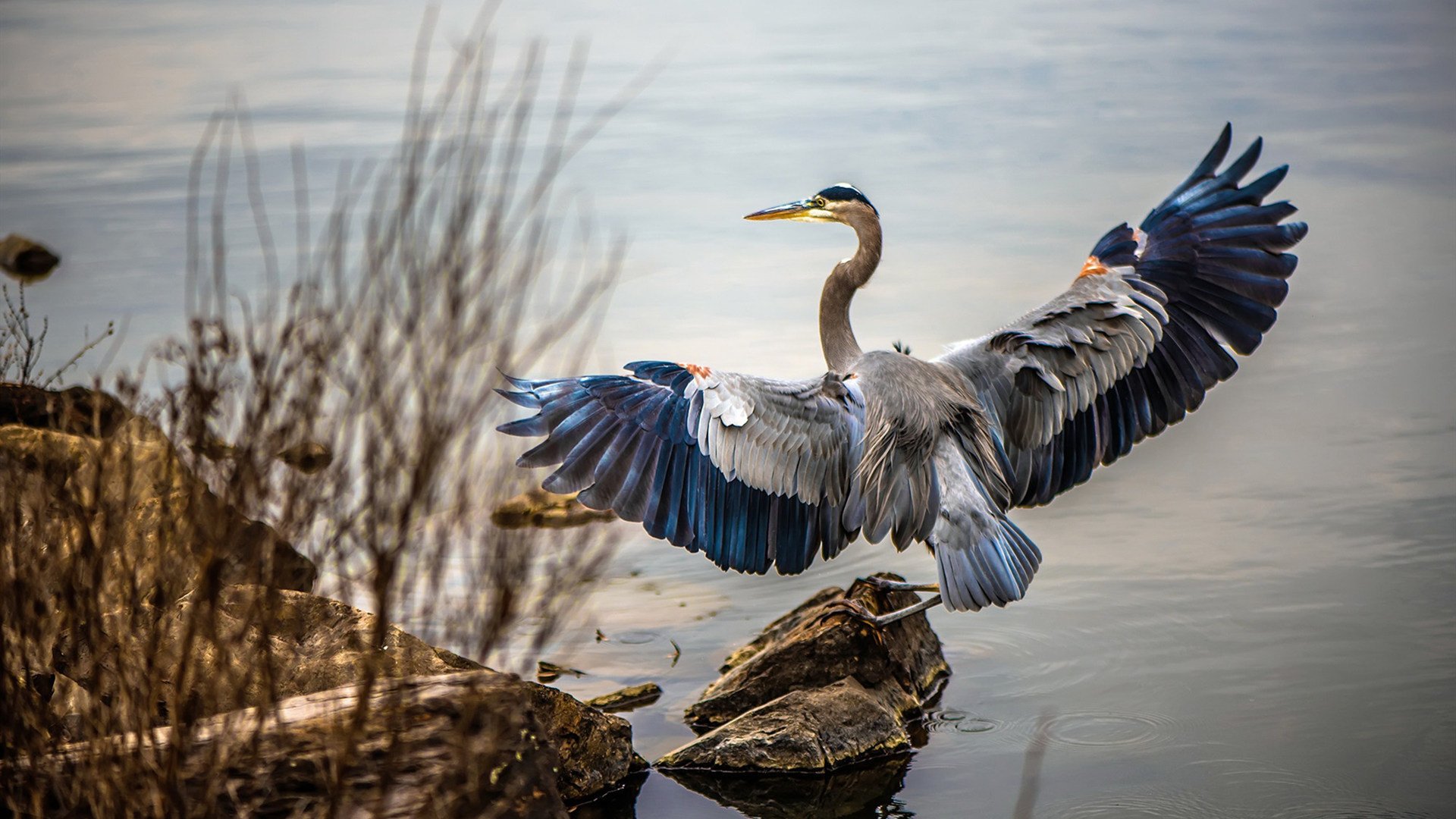 英超激烈角逐,豪门之间拼抢不断